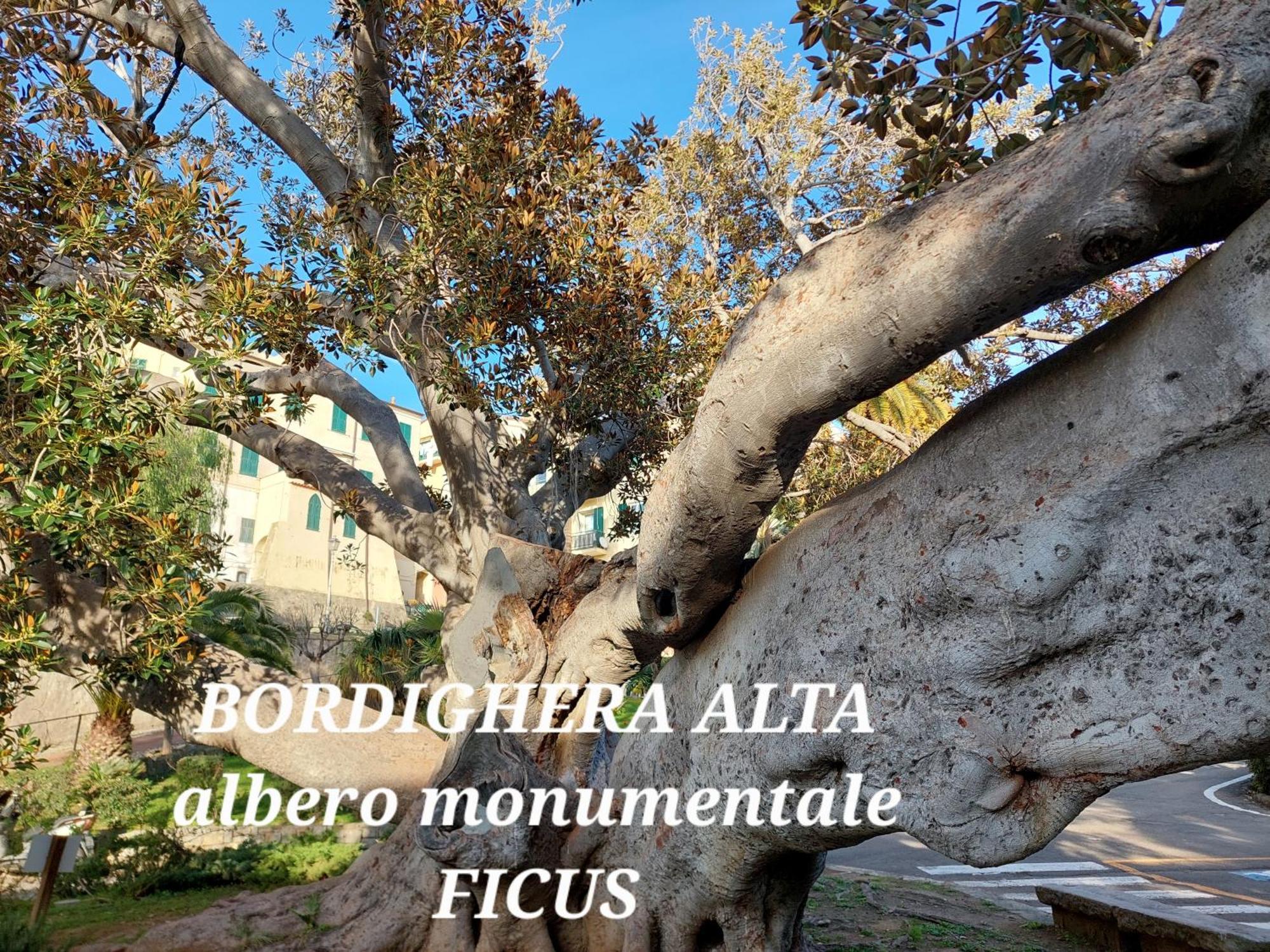 Emozioni Casa Vista Mare 博尔迪盖拉 外观 照片
